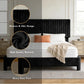 Modern Luxe Velvet Platform Bed