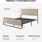 Modern Curved Upholstered Platform Bed