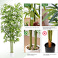 Bliss Bamboo Tree
