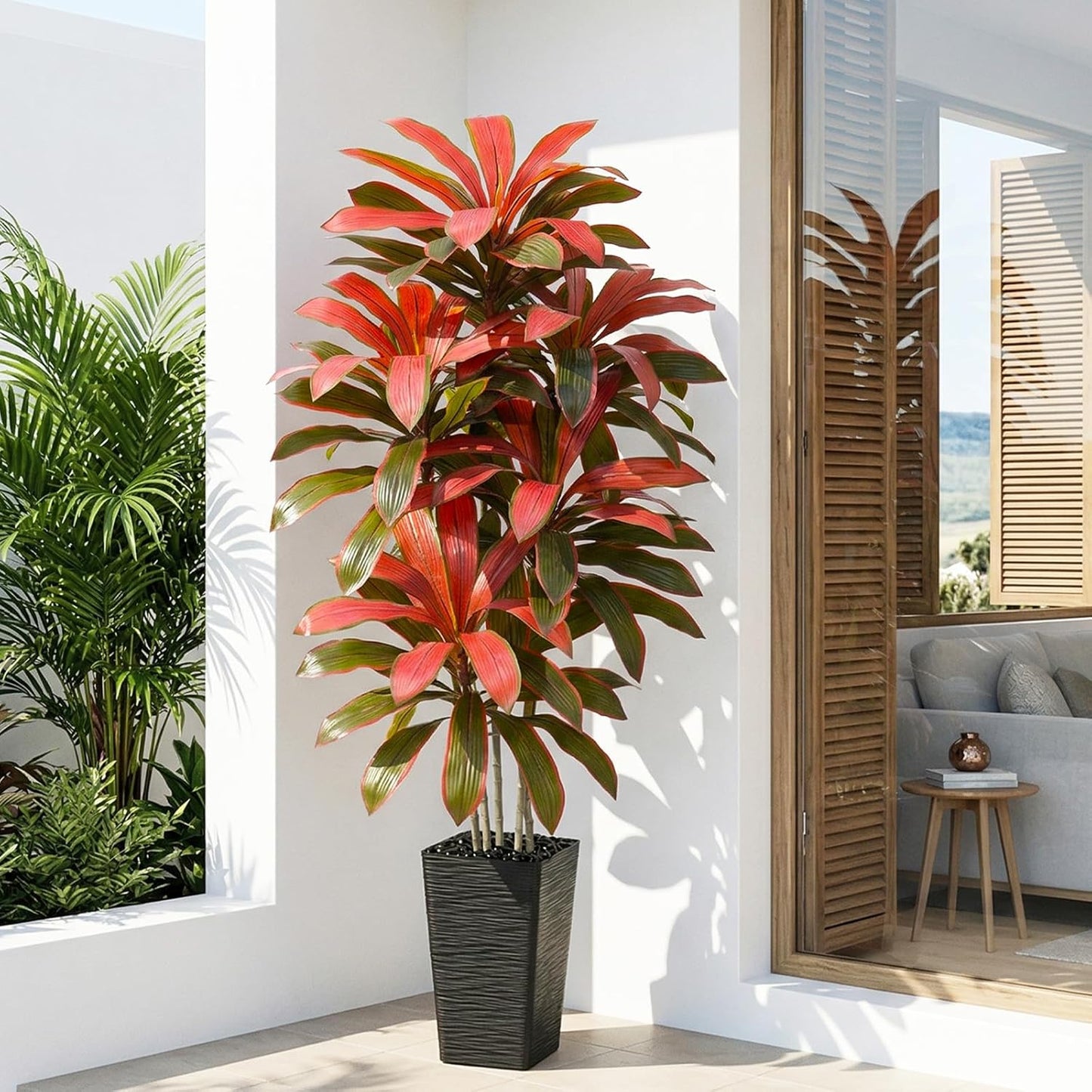 Regal Radiance Dracaena Tree