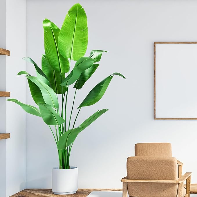 Paradise Oasis Plant