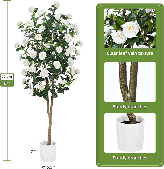 Noir Camellia Tree