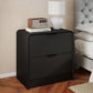 Modern Curved 2-Drawer Nightstand