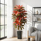 Regal Radiance Dracaena Tree