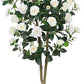Noir Camellia Tree