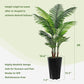 Verdant Oasis Palm Tree