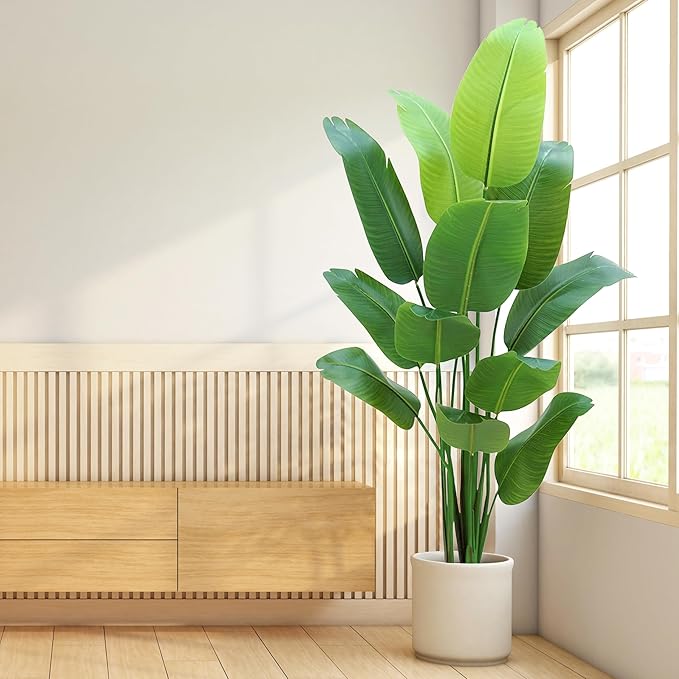 Paradise Oasis Plant
