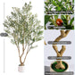 Timeless Faux Olive Tree