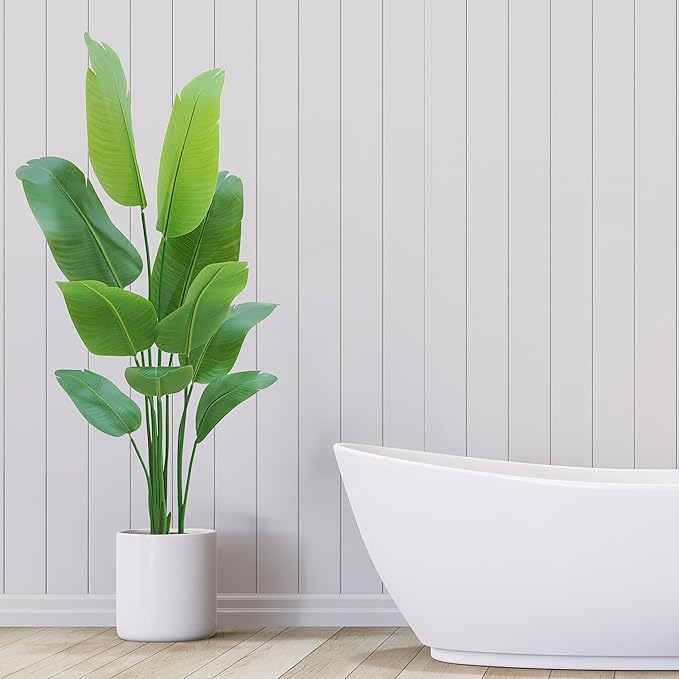 Paradise Oasis Plant