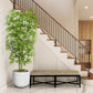 Bliss Bamboo Tree