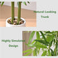 Bliss Bamboo Tree